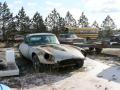 EType.jpg