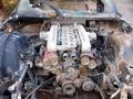 Scrap5753.jpg