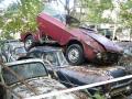 scrapfulvia.jpg