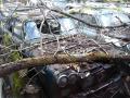 scrapfulvia2.jpg