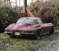 scrap63stingray.jpg