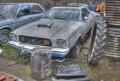mustang_pfalz6.jpg