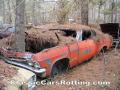 0988_________.jpg