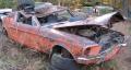 67_mustange_fastback_4spd_2_out_of_the_yard.jpg