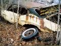 116_0506_01_z_junkyard_muscle_gto_judge.jpg